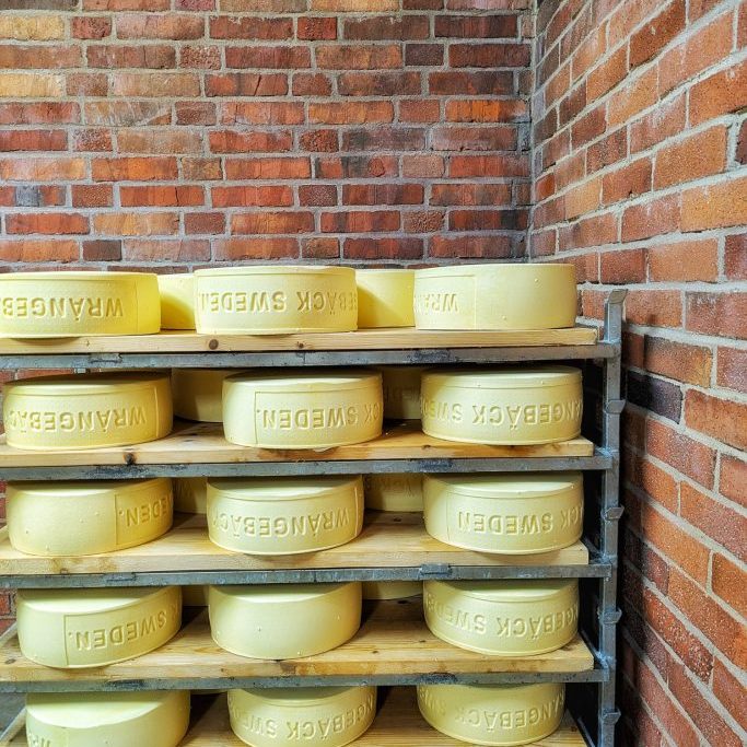 Der historische Käse Wrångebäck, hergestellt auf dem Gut Almnäs Bruk in Schweden.