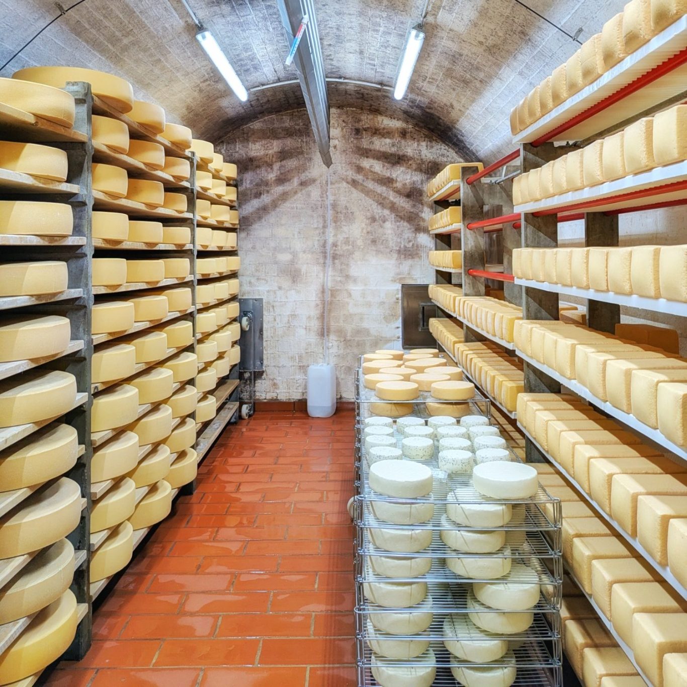 Reiferaum der Herrmannsdorfer Landwerkstätten mit auf Holzregalen gelagerten Käselaiben.