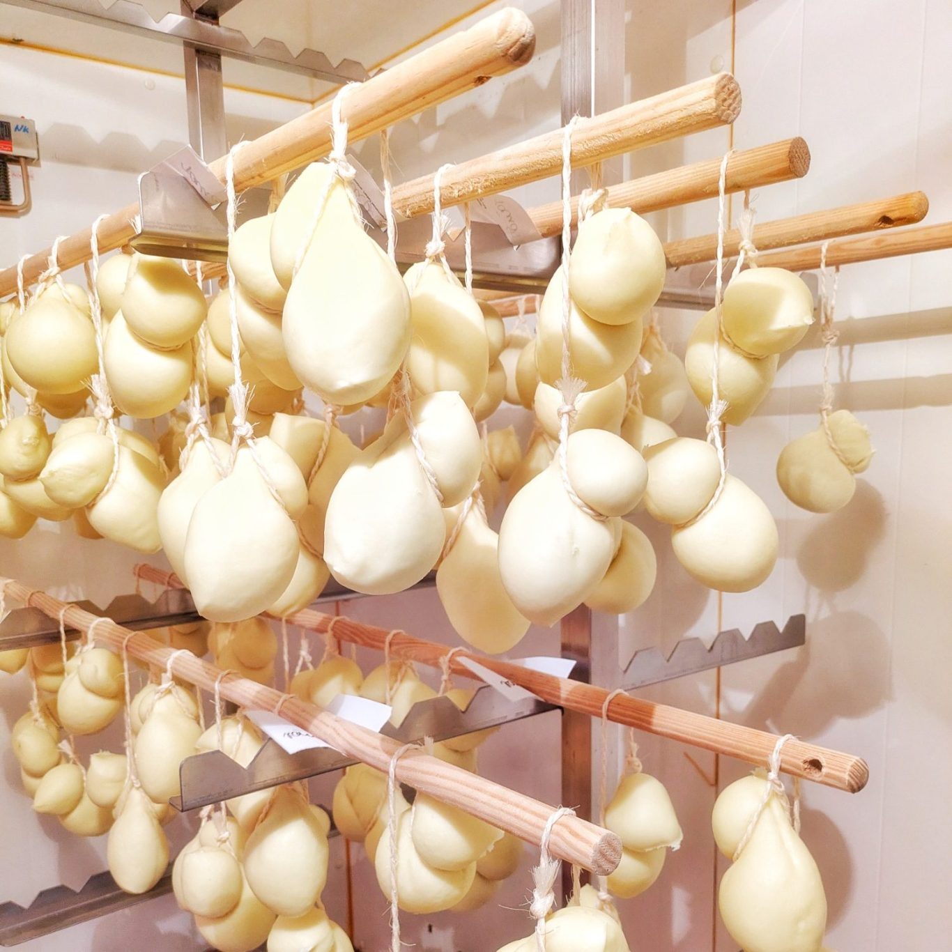 Frisch geformte Scamorza hängen im Reiferaum der Käserei Bobalis an Holzstäben zum Abtropfen und Reifen.