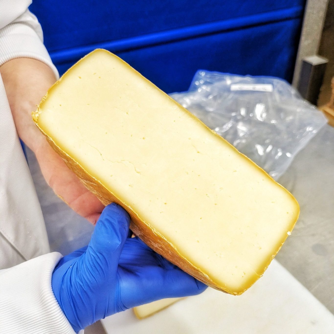 Detailaufnahme eines angeschnittenen Tolkedyb-Käses mit sichtbarer Textur, feiner Lochung und cremigem Teig im Inneren