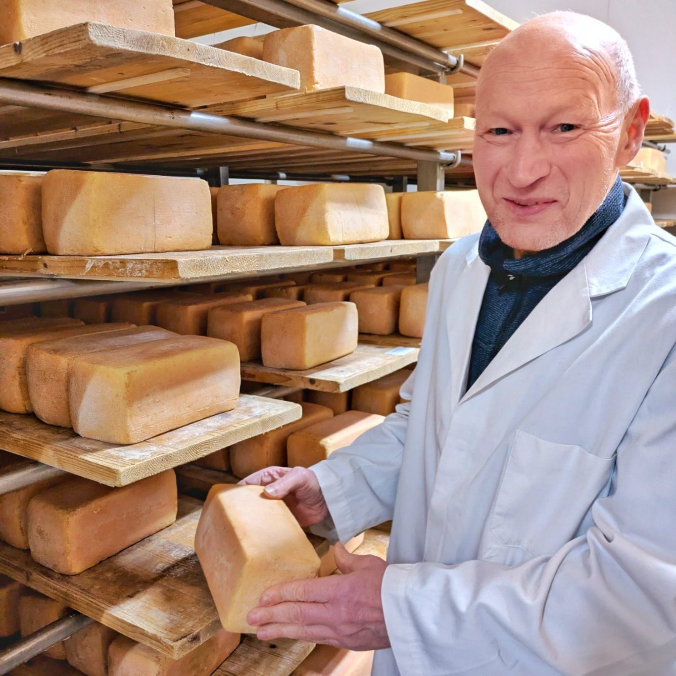 Käser Hauke Koll im Reifelager der Ostenfelder Meierei mit Holsteiner Tilsiter Käser Hauke Koll steht im Reifelager der Ostenfelder Meierei und hält einen Laib Holsteiner Tilsiter in den Händen.
