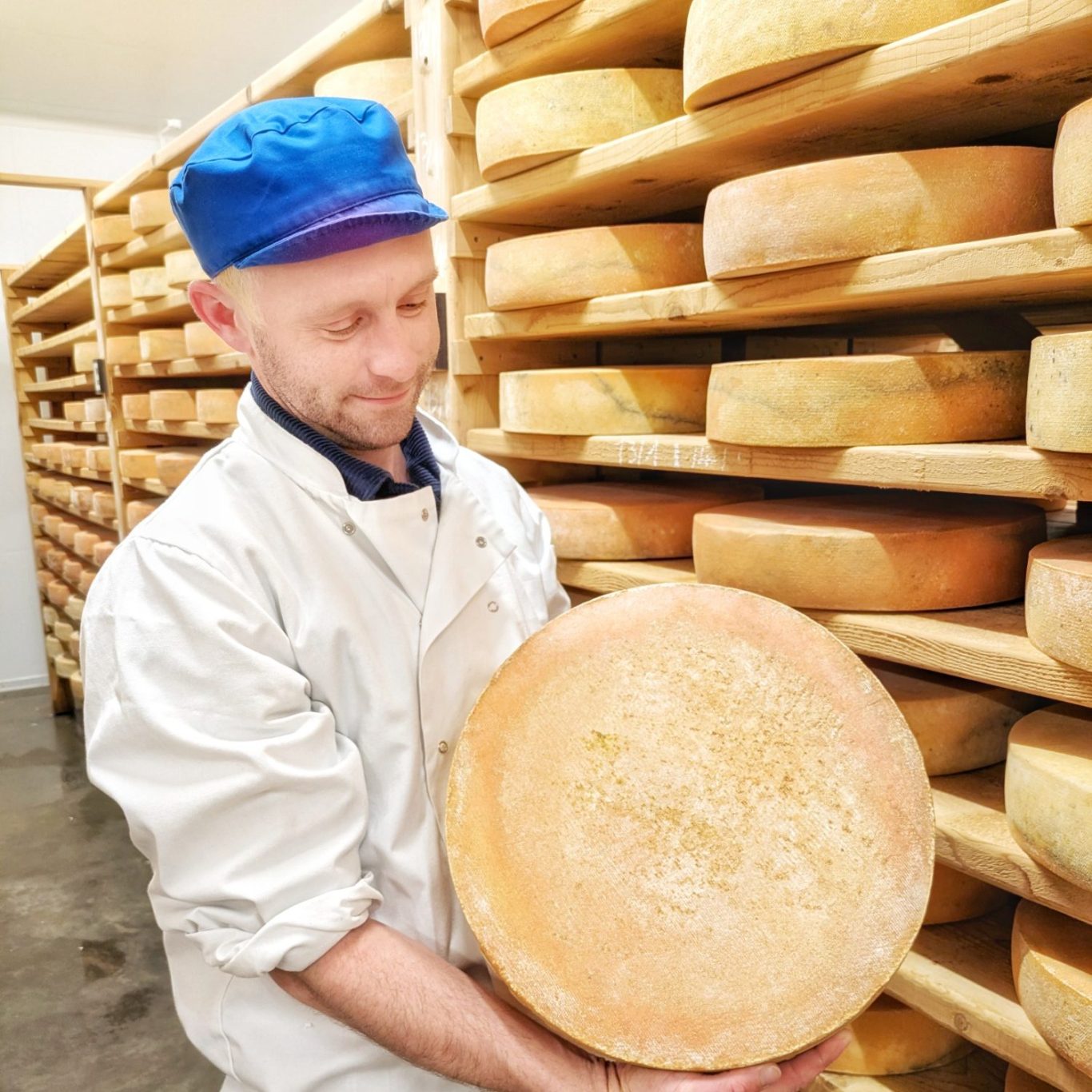 David Jowett hält einen Ashcombe-Laib im Reiferaum der King Stone Dairy.