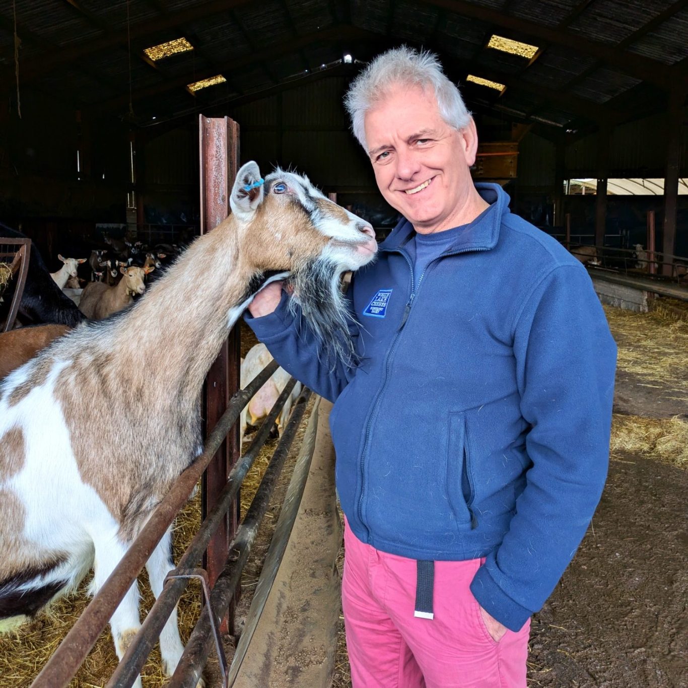Portrait von Roger Longman in einem hellen Ziegenstall auf der Bagborough Farm in Somerset. 