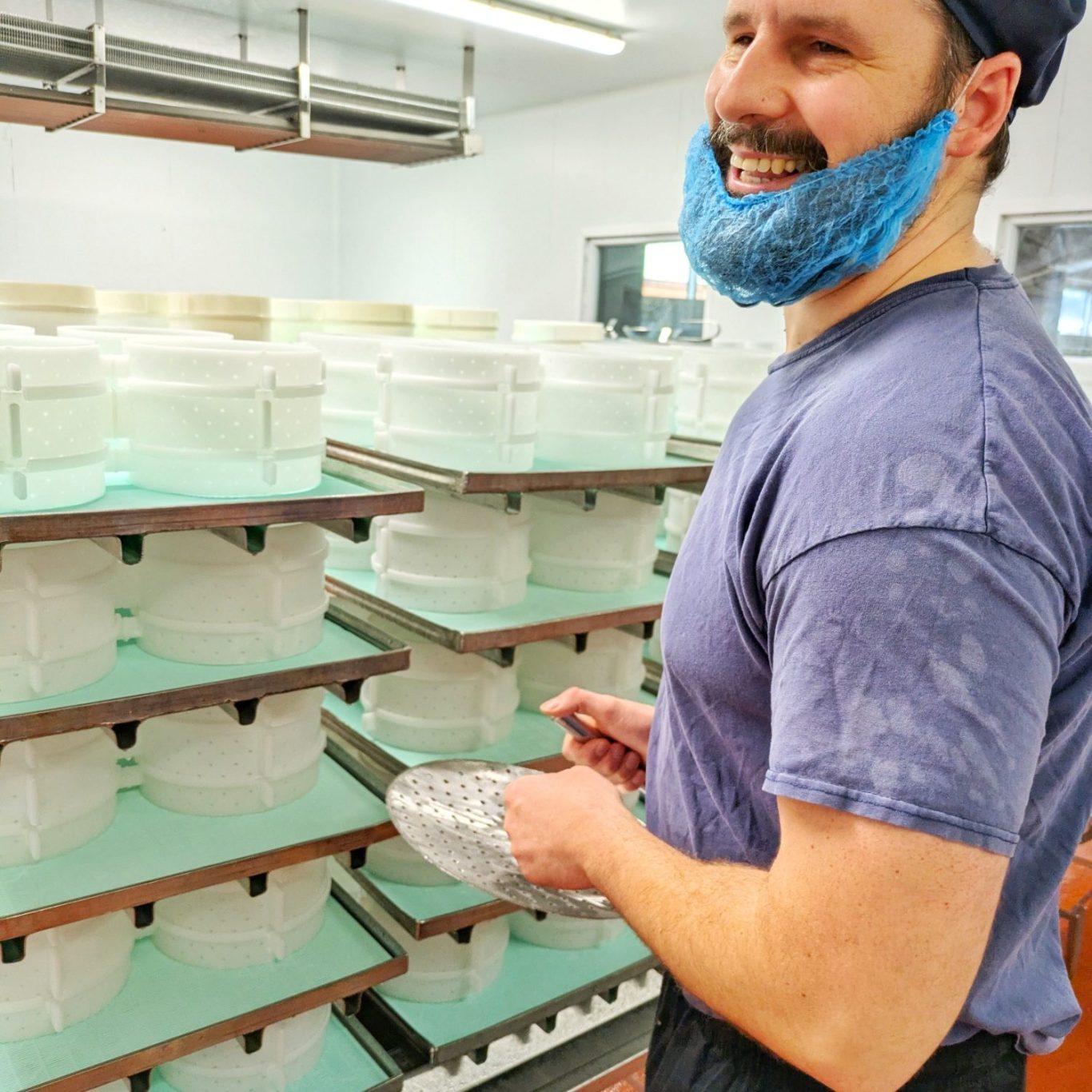 Marc King in der Käserei der Fen Farm Dairy, arbeitend mit einer Pelle-à-Brie-Kelle bei der Herstellung von Baron Bigod.